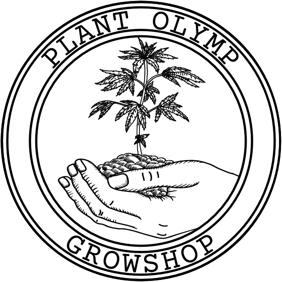 Plant Olymp GmbH
